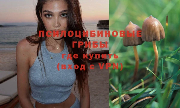 молекула духа Беломорск