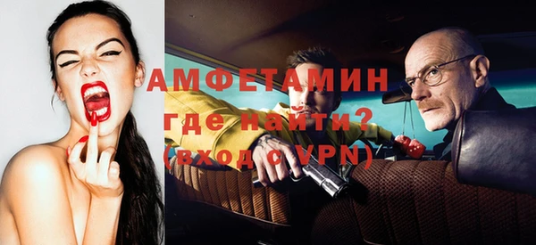 сатива Богданович