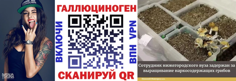 Галлюциногенные грибы MAGIC MUSHROOMS  Купить закладки  Бутурлиновка 